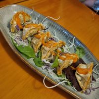 Dumplings at Koko Organic in Prague