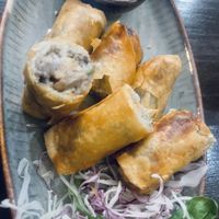   at Koko Organic in Prague