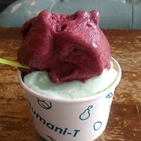 Blueberry and lime gelato vegan at Humani-T Cafe - Downtown in Halifax