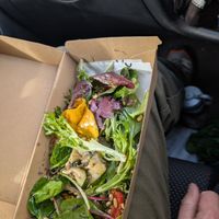 Chargrilled vegetable salad at The Capital in Horsham