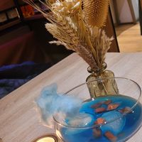  at Plaka in Dortmund