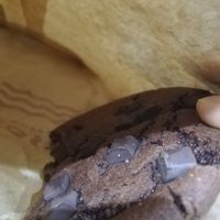 Chocolate cookie at Costa Coffee in Warsaw