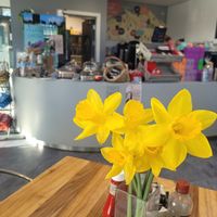 Cantîn Inside at Cantîn in Conwy