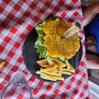 Hambourguesa vegano with fries at Metamorphosis   in Alajuela