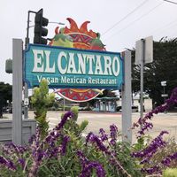   at El Cantaro Vegan Mexican Restaurant in Monterey