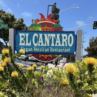   at El Cantaro Vegan Mexican Restaurant in Monterey