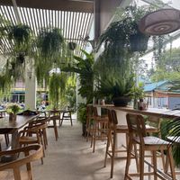   at Hexagon in Koh Phangan