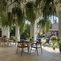   at Hexagon in Koh Phangan