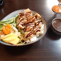 Poke Bowl at Green Wok  in Rudolstadt