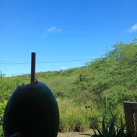  at Suka Kitchen Culebra  in Culebra