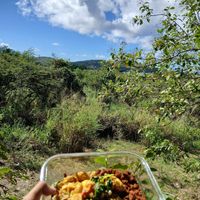 Amazing food by suka she is a mf cheff at Suka Kitchen Culebra  in Culebra