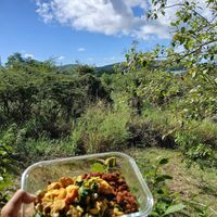  at Suka Kitchen Culebra  in Culebra