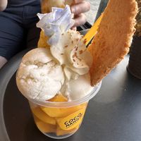   at COCO MANGO in Chiang Mai