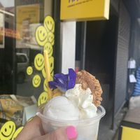 Sea salt, and mango ice cream with whipped cream and a biscuit   at COCO MANGO in Chiang Mai