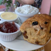 Vegan scone at Huffkins Kingston in Kingston Upon Thames