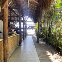   at Costeno Beach Hostel in Magdalena