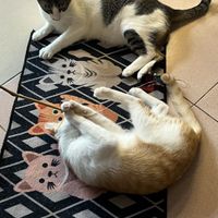   at Catarchy in Nha Trang