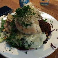 Falafel at Krawummel in Muenster