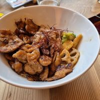 Teriyaki soy meat with rice at Cafe Tea Terrace in Kyoto