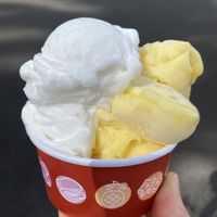 Mango & coconut sorbetto  at Papalani Gelato in Koloa