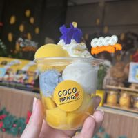 Coco Mango ice cream tub  at COCO MANGO - Prapokkloa Rd in Chiang Mai