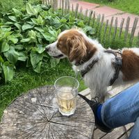   at Koffiehuis De Goede Morgen in Vinkeveen