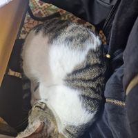  at Baissara Ansara in Chefchaouen