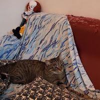  at Cat Cafè di Chry in Cagliari