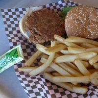 vegan burger with fries and relish at Maswick Cafeteria in Grand Canyon Village