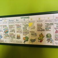 The restaurant at Nanda's in Lucca