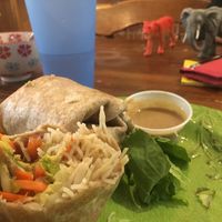 Thai vegan wrap with a side of vegan Spanish soup with an elephant and tiger lurking at The Art We Are in Kamloops
