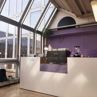 the Café at Raum Café - Pop Up in Vienna