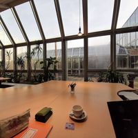 the Café at Raum Café - Pop Up in Vienna