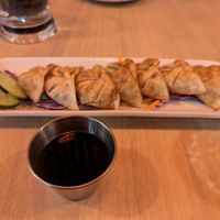Pan fried dumplings at Alice & Friends at The Glen in Glenview