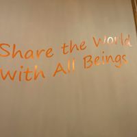   at Alice & Friends at The Glen in Glenview