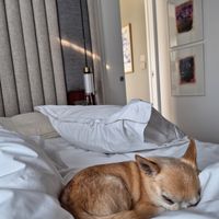  at Hôtel Pilgrim in Paris