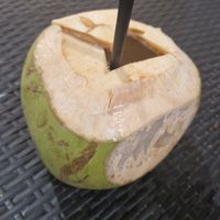 They have cold coconut. Unfortunately they wrap it in plastic + plastic straw at Vegegan in Kuta