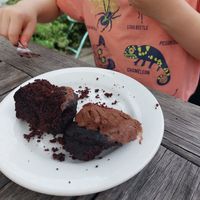  at Sprout Eden in Eden