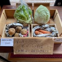 Veggies at Cafe Hinode Falafel Chigasaki in Chigasaki