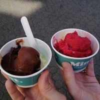  at Schweiger's Mint in Frankfurt