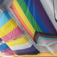 Flags! at The Root Cafe in Little Rock