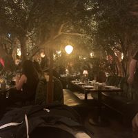   at Mama Yo in Dublin