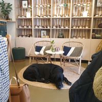 Titi et les confitures at Grignote in Pau