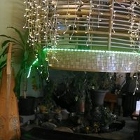 so lovely at Humani-T Cafe - North End in Halifax