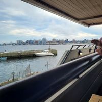  at The Wooden Monkey - Dartmouth in Dartmouth