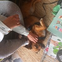  at FIKA LAB in Leuven