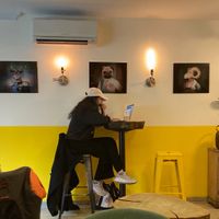 "They call me Mellow Yellow..." at Mellow Yellow Coffee and Vibes in New York City