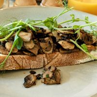 Mushroom on sourdough at Apricot Brunch + Bar in Lytham St Annes