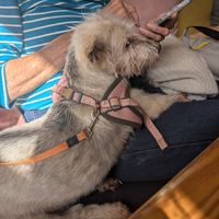  at Pure Cafe in Greyton