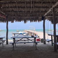 Vibe  at Barefoot Caribe in Caye Caulker